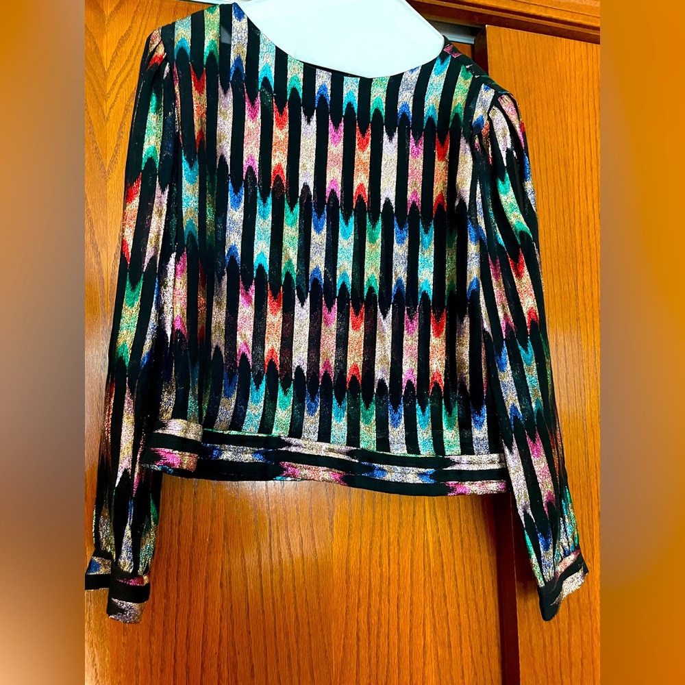 Sheer Vintage Top Great for the Holidays